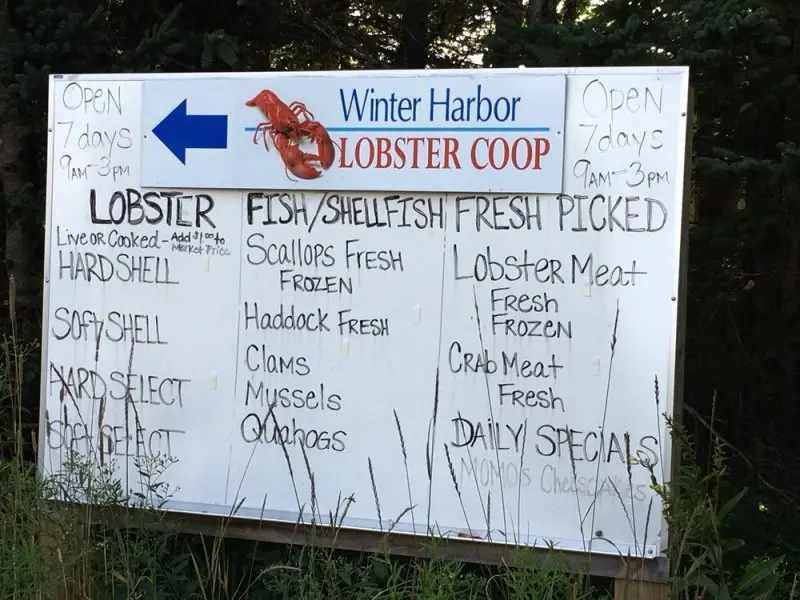Winter Harbor Co-Op Inc Winter Harbor Co-Op Inc