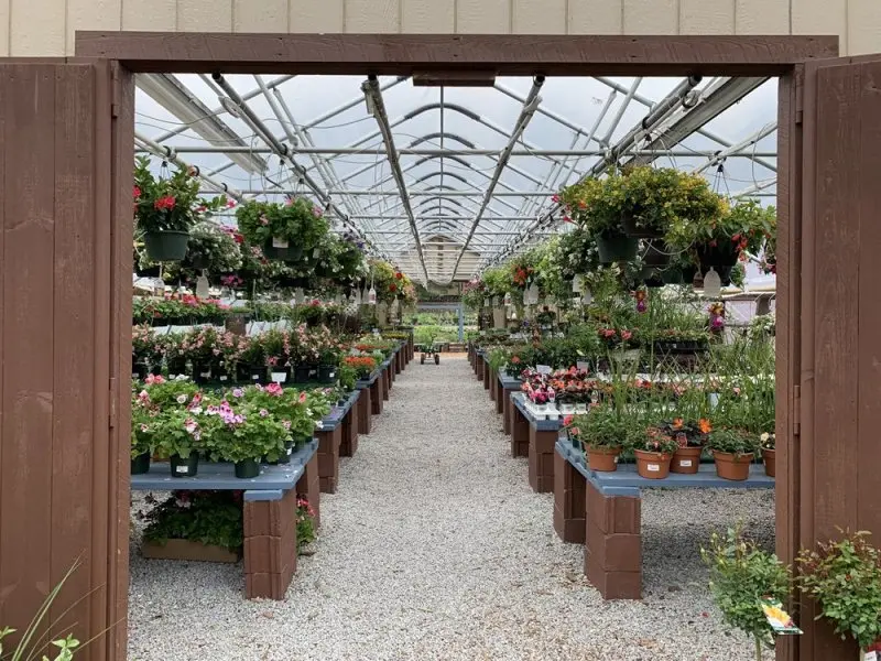 Black Forest Nursery & Garden Center Black Forest Nursery & Garden Center