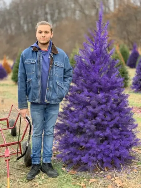 Wyckoff's Christmas Tree Farm Wyckoff's Christmas Tree Farm