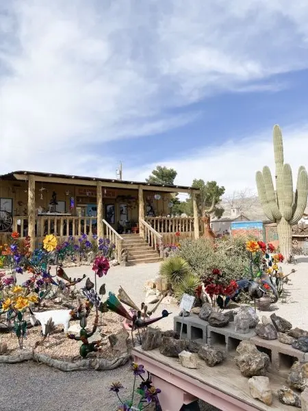 Cactus Joe's Blue Diamond Nursery Cactus Joe's Blue Diamond Nursery