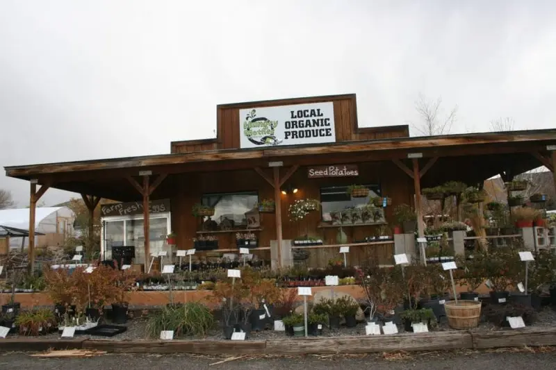 Hungry Mother Organics Hungry Mother Organics