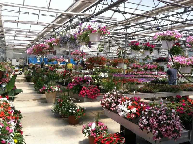 Bissell's Garden Center and Green House Bissell's Garden Center and Green House
