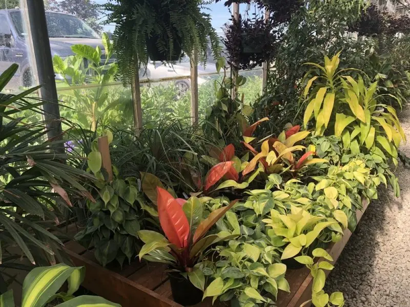 Boyert's Greenhouse & Farm Boyert's Greenhouse & Farm