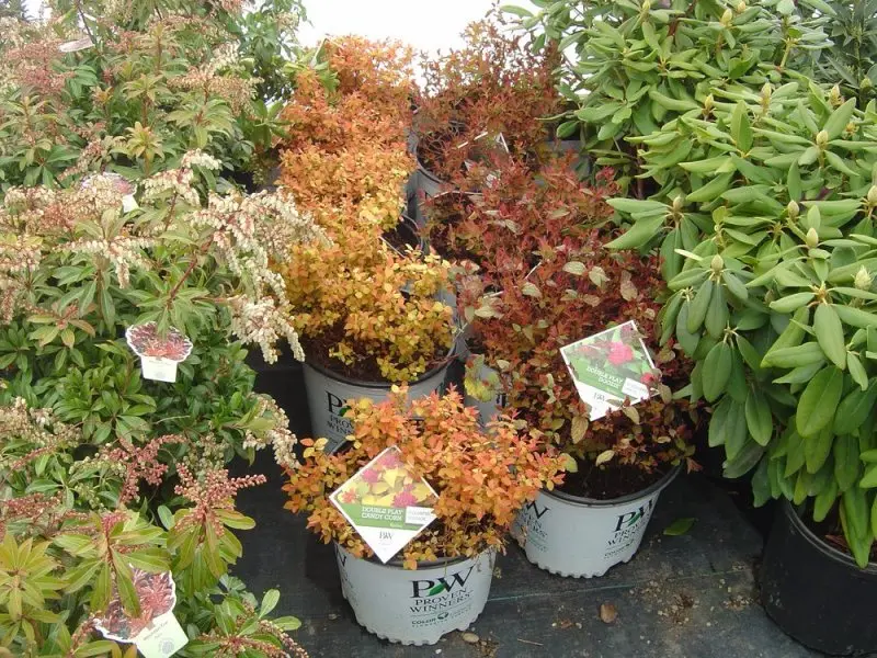 Dayton Flower & Garden Center Dayton Flower & Garden Center