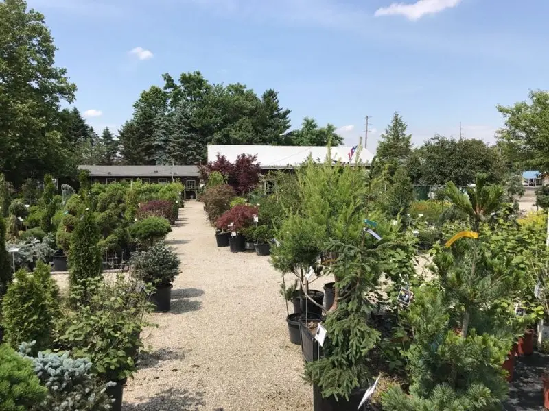Willo'dell Nursery Willo'dell Nursery