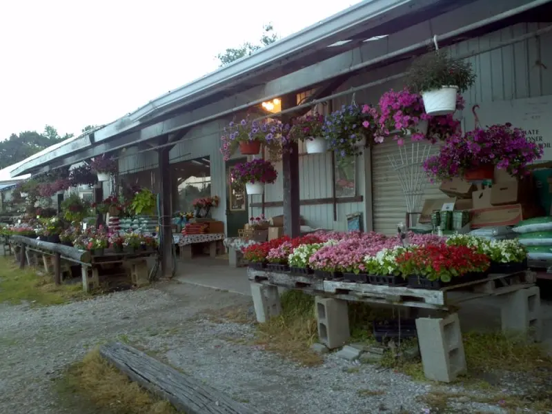 Green Shades Garden Center Green Shades Garden Center