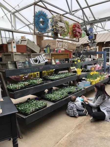 Lancaster Greenhouse & New Leaf Market Lancaster Greenhouse & New Leaf Market
