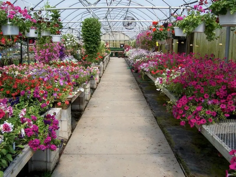 Petitti Garden Centers Petitti Garden Centers