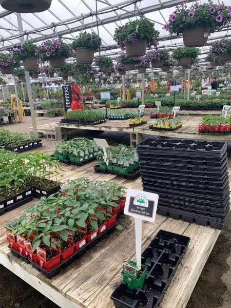 Petitti Garden Centers Petitti Garden Centers