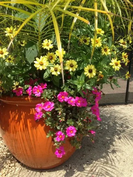 Stockslagers Greenhouse & Garden Center Stockslagers Greenhouse & Garden Center
