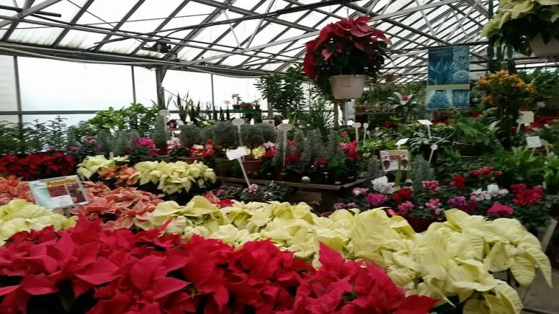 Strader's Garden Centers Strader's Garden Centers