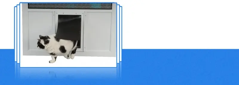 Cool Screens Mobile Screen Service Cool Screens Mobile Screen Service
