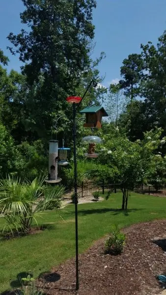 Wild Birds Unlimited Wild Birds Unlimited