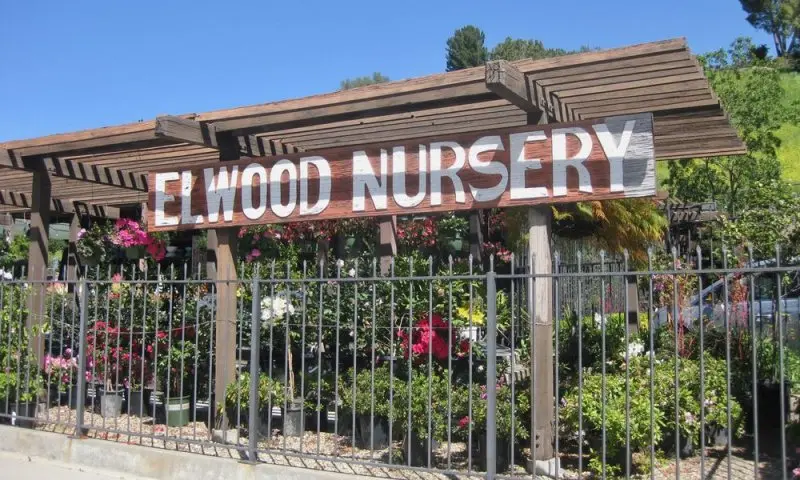 Elwood Nursery Elwood Nursery