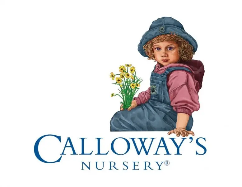 Calloway's Nursery Calloway's Nursery