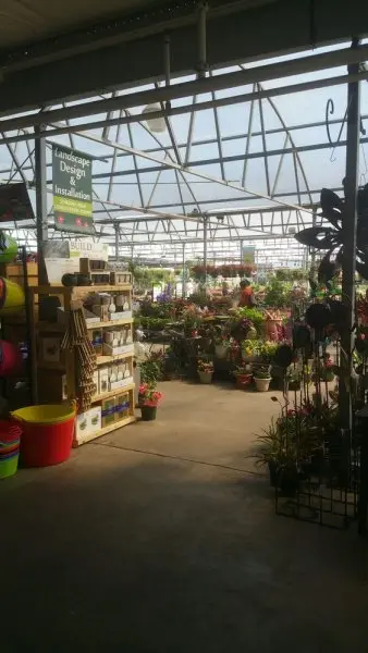 Calloway's Nursery Calloway's Nursery