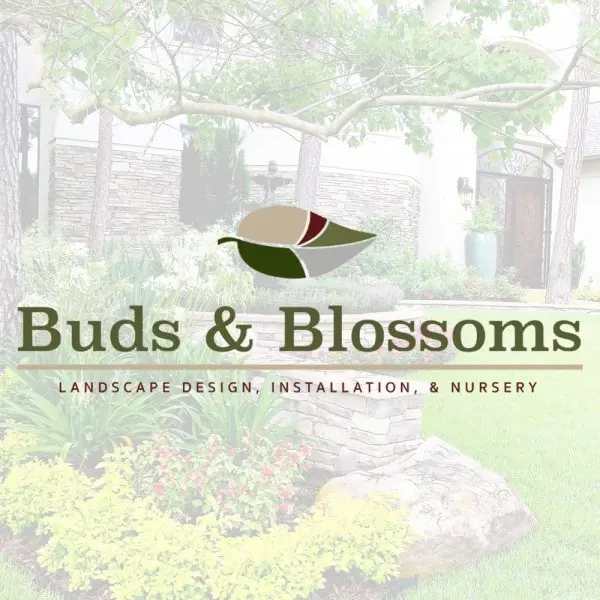 Buds & Blossoms Buds & Blossoms