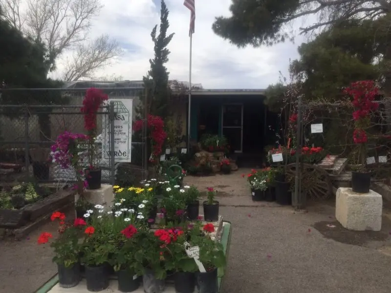 Casa Verde Nursery Casa Verde Nursery