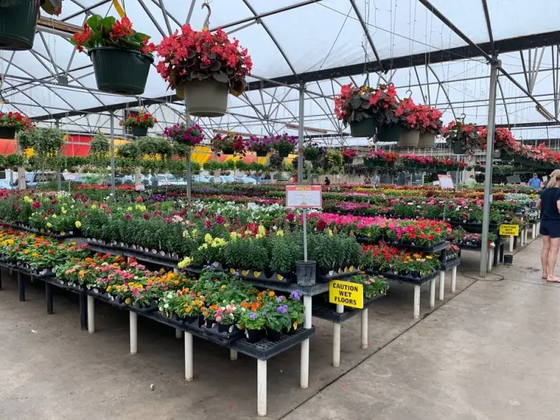Houston Garden Centers Houston Garden Centers