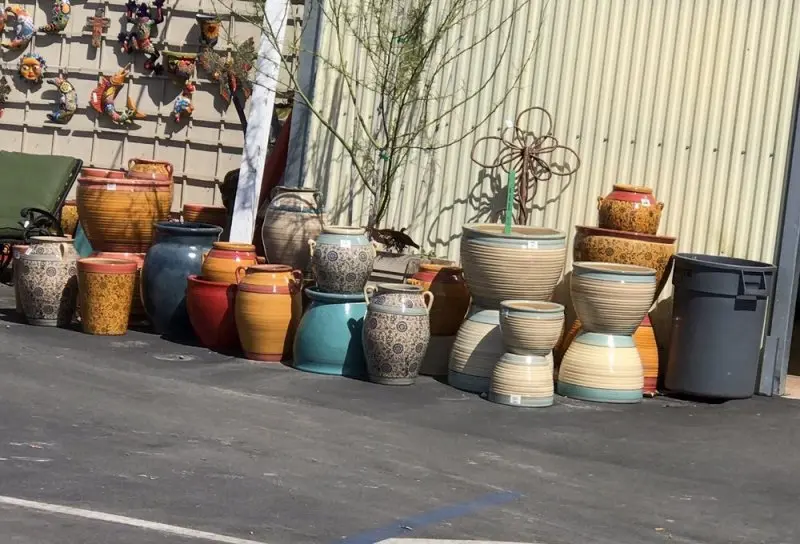 Green Thumb Nursery - San Marcos Green Thumb Nursery - San Marcos