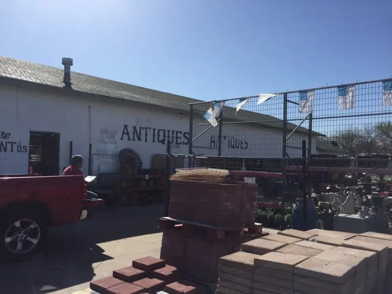 Plantus Nursery Plantus Nursery