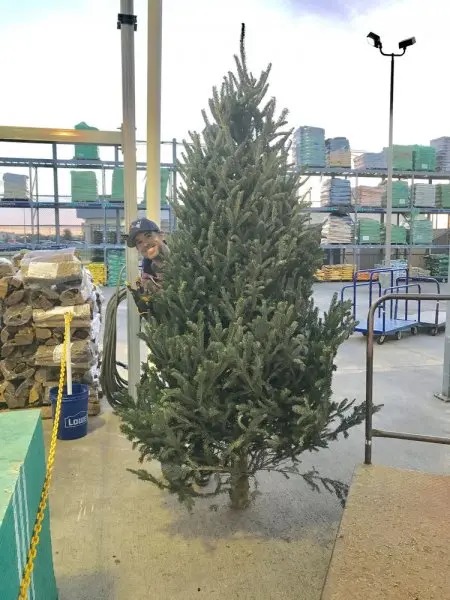 Lowe's Home Improvement Lowe's Home Improvement