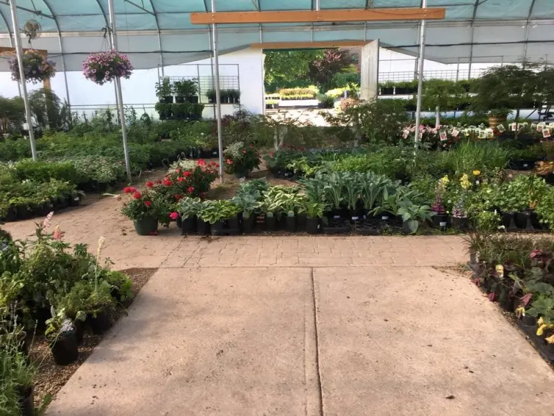 Twin Pines Nursery Twin Pines Nursery