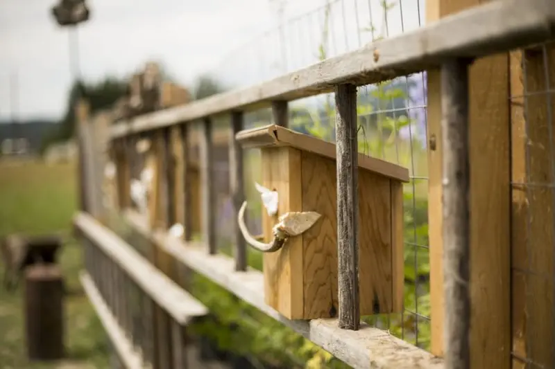 The Rusty Gate Nursery The Rusty Gate Nursery