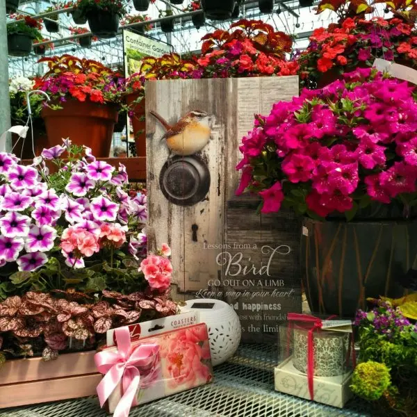 America's Best Flowers America's Best Flowers