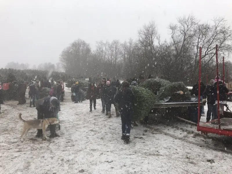 ANR Tree Farm ANR Tree Farm