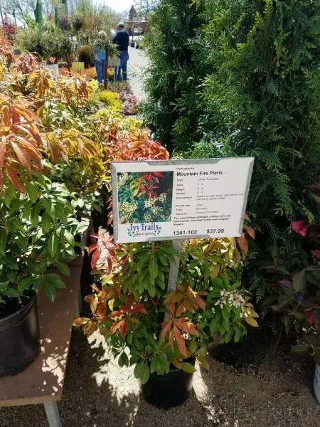 Ivy Trails Garden Center Ivy Trails Garden Center