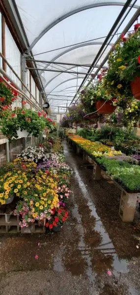Minor's Garden Center, Inc. Minor's Garden Center, Inc.