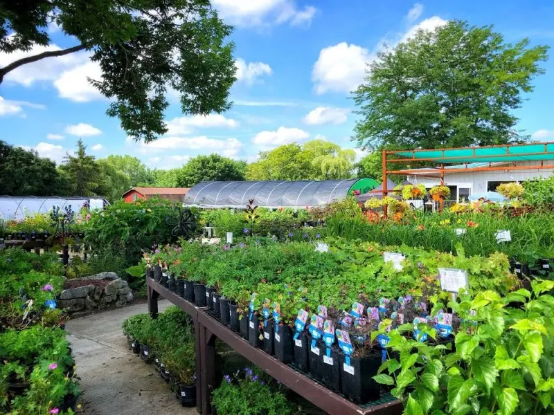 Piala's Nursery & Garden Shop Piala's Nursery & Garden Shop