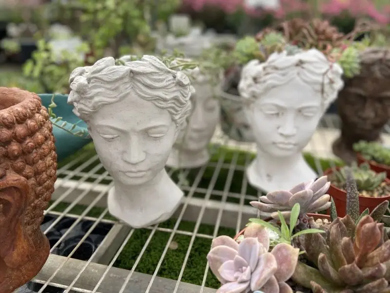 Louie's Nursery & Landscape Materials Inc Louie's Nursery & Landscape Materials Inc