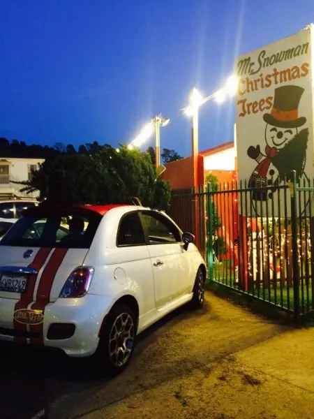 Mr Snowman Christmas Trees Mr Snowman Christmas Trees