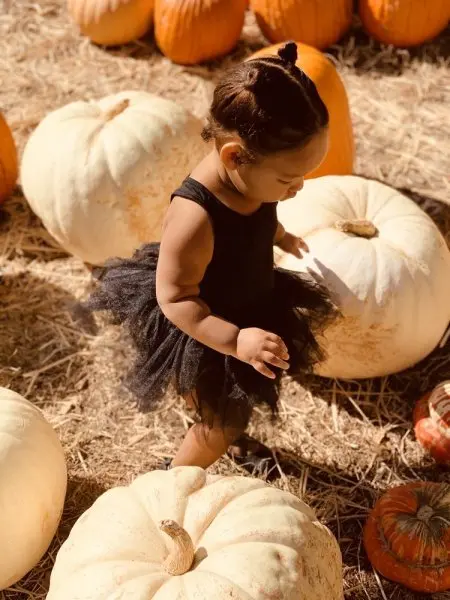 Shadelands Ranch Pumpkin Patch Shadelands Ranch Pumpkin Patch