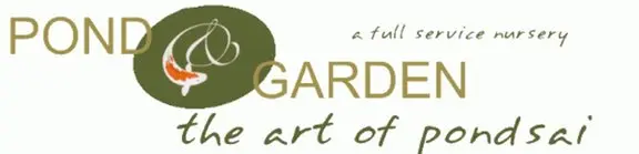 Pond & Garden Pond & Garden
