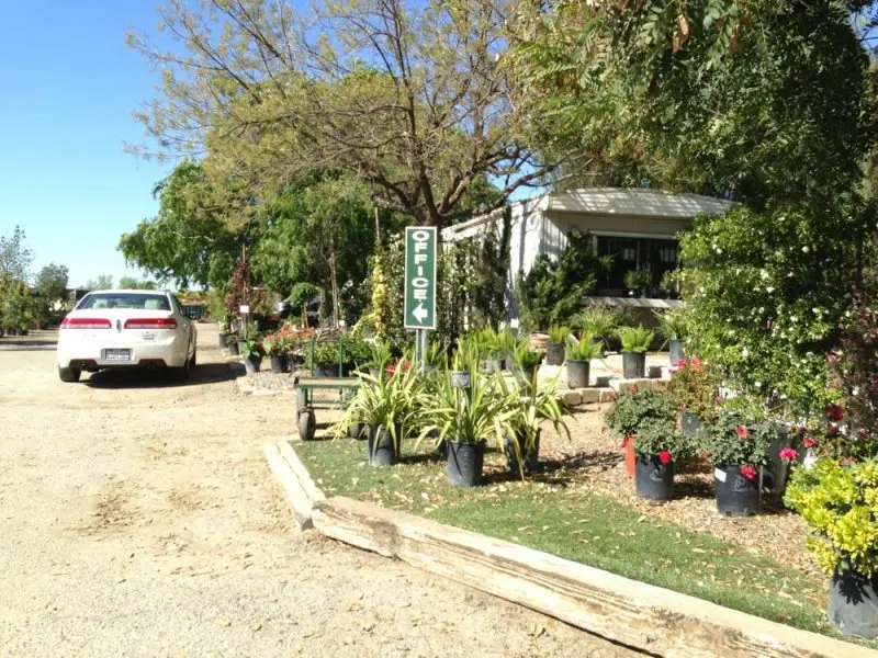 Southwest Wholesale Nursery Southwest Wholesale Nursery