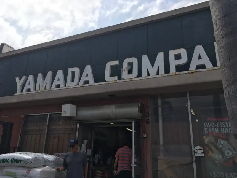 Yamada Yamada