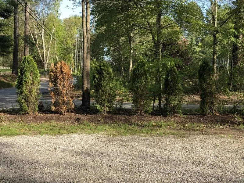 Sunset Landscaping and Nurseries Sunset Landscaping and Nurseries