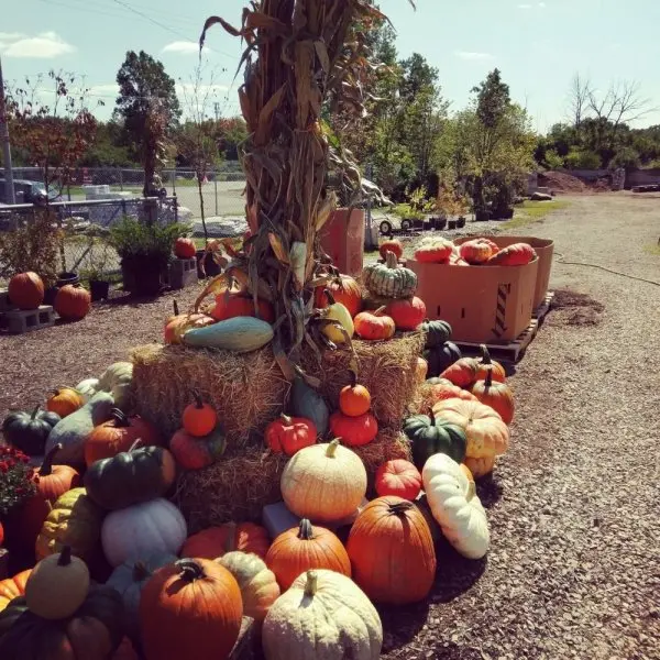 Summit Landscape & Garden Center Summit Landscape & Garden Center