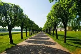M and A Tree Services M and A Tree Services