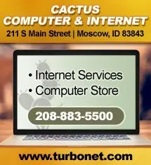 Cactus Computer and Internet
