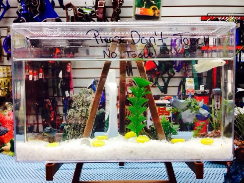Pet Place Pet Place