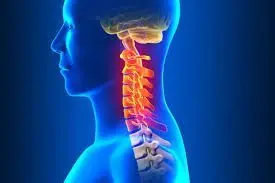 SpineWorks Decompression & Chiropractic SpineWorks Decompression & Chiropractic