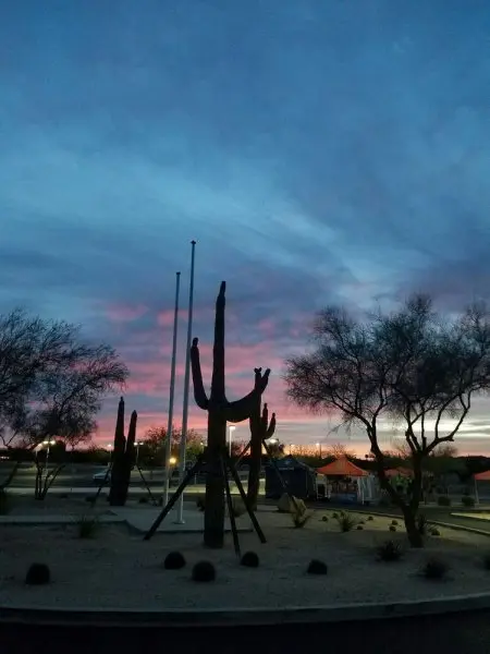 Cactus Shadows High School Cactus Shadows High School