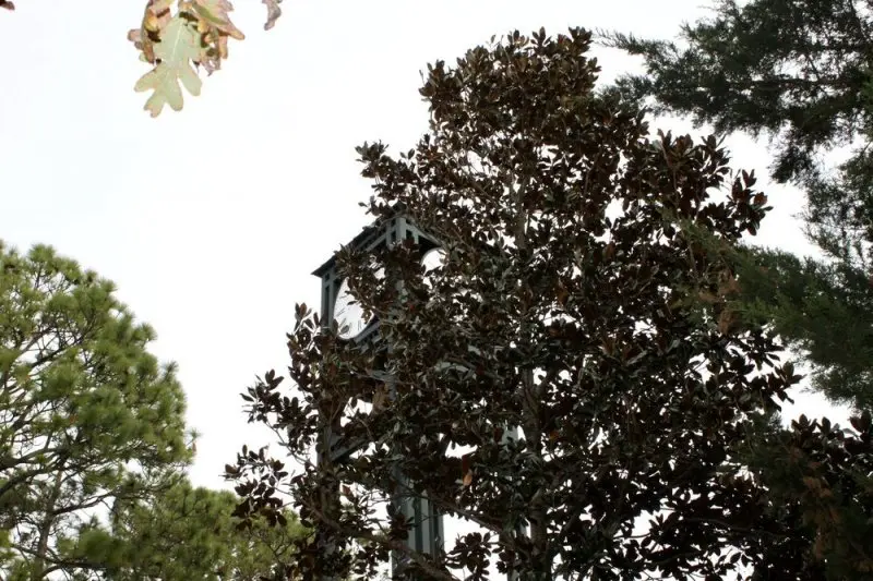 University of North Carolina Wilmington University of North Carolina Wilmington