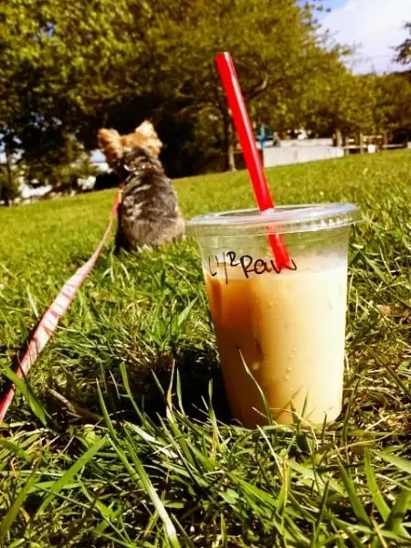 Cable Car Coffee Cable Car Coffee