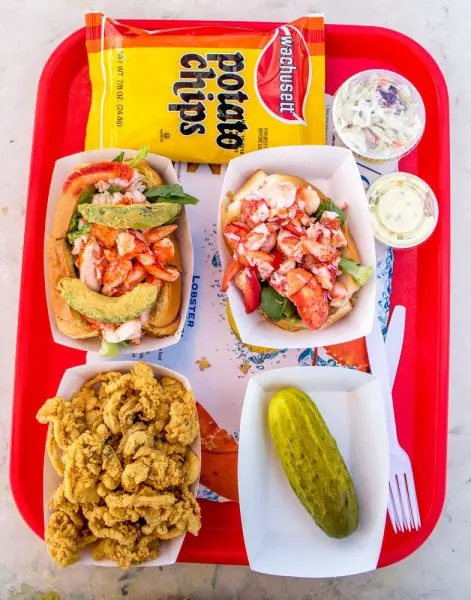 Bob Lobster Bob Lobster