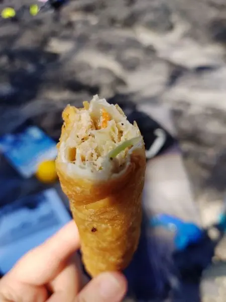 Shell Shell